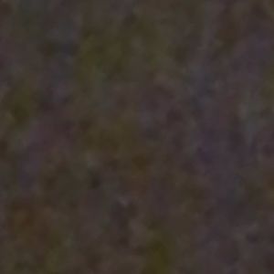 Meet your Posher, Belem